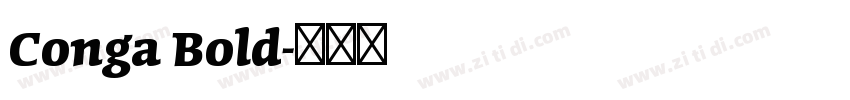 Conga Bold字体转换